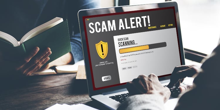 Europol takes down scammer group<br>